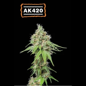 AK 420