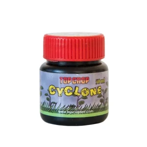 Cyclone Gel