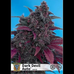 Dark Devil