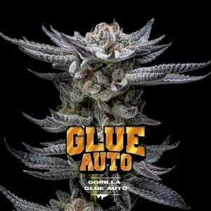 Gorilla Glue #4