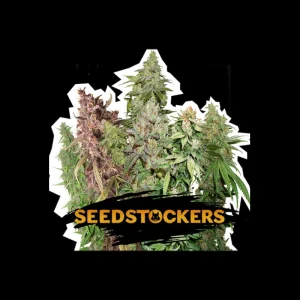 Mix Sativa Auto
