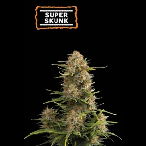 Super Skunk